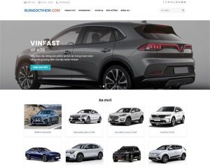 Mẫu website dạy lái xe B1, B2 đại điện