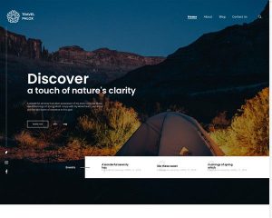 Hình đại diện Mẫu website du lịch phlox