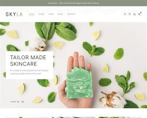 Hình đại diên mẫu webstie mỹ phẩm organic skyla
