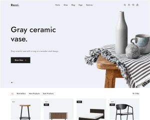 Hình đại diện Mẫu website nội thất Razzi V13