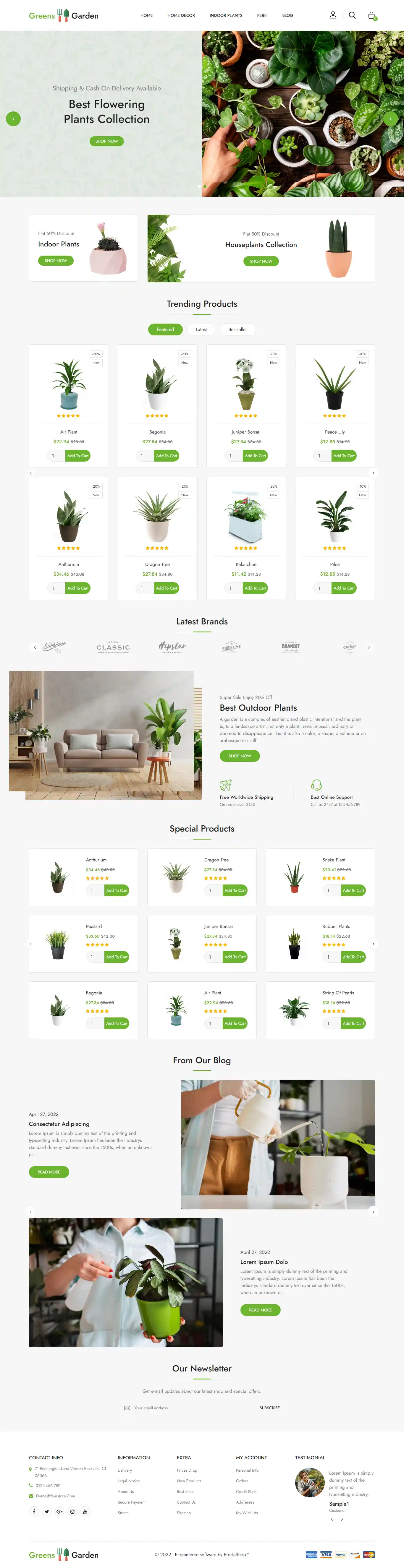 Green Plants: Mẫu Website Tiệm Cây Cảnh & Bonsai Đẹp mắt