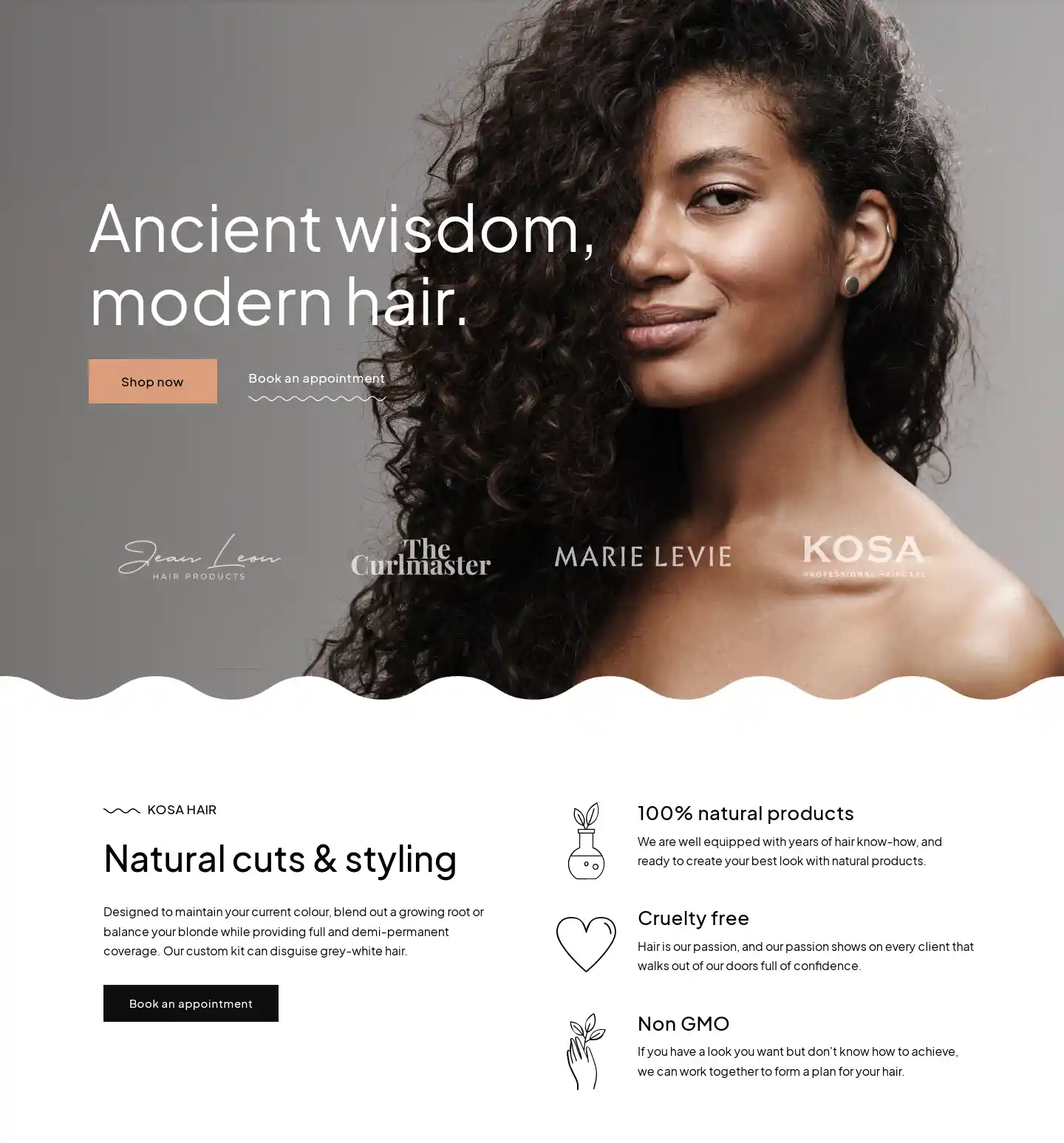 Kosa – Giao diện website salon tóc hiện đại hình đại diện