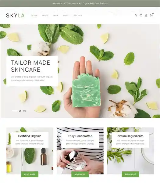 Skyla: Mẫu Website Bán Mỹ Phẩm Organic & Thiên Nhiên Đẹp hình đại diện