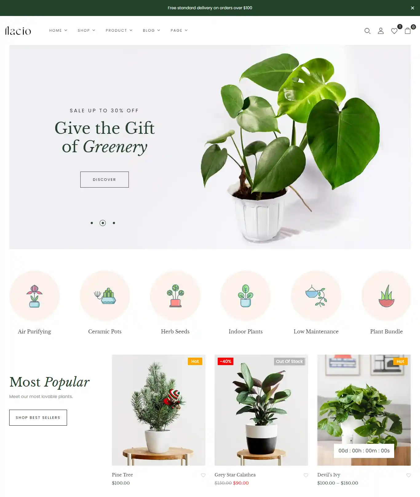 Thiết kế website cây cảnh Flacio Flat chuẩn SEO hình đại diện